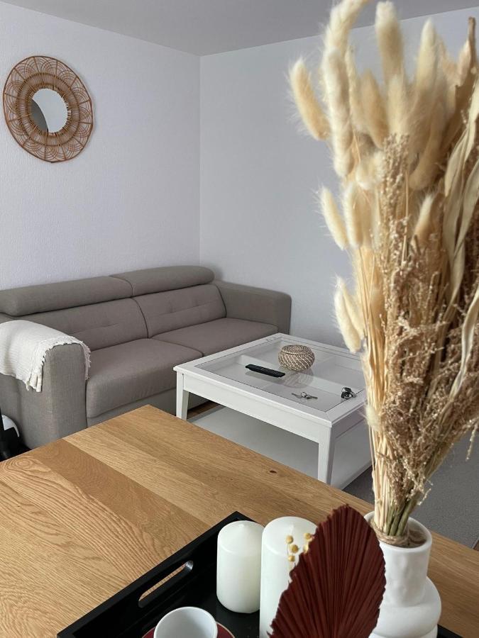 Appartement La Petite Venise Кольмар Екстер'єр фото