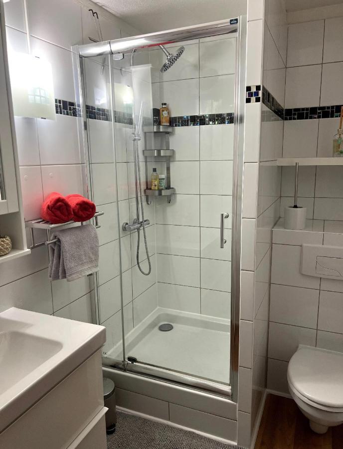 Appartement La Petite Venise Кольмар Екстер'єр фото
